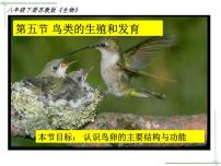 初中苏教版第五节 鸟类的生殖与发育评课ppt课件