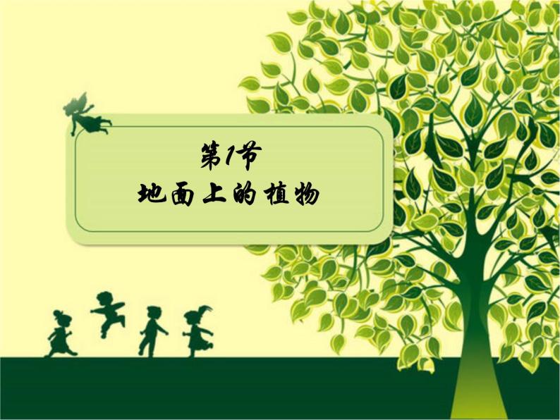 苏科版七年级下册生物 11.1地面上的植物 课件02