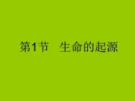 苏科版八年级下册生物 23.1生命的起源 课件