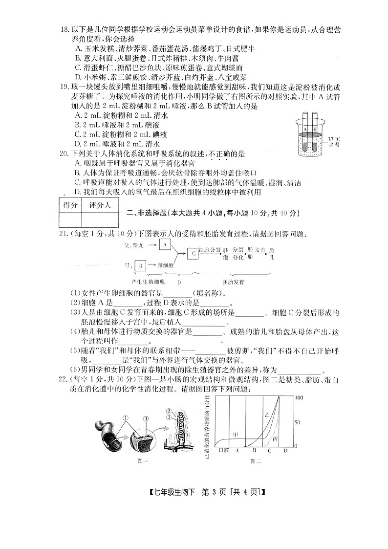 山西省临汾市尧都区2021_2022学年七年级下学期期中生物试题(word版含答案)03