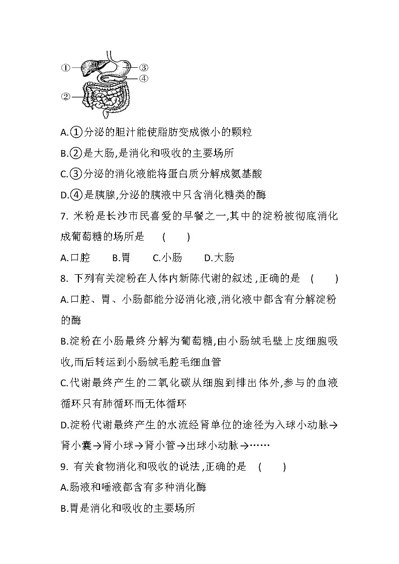 中考总复习专题五 人体的营养和呼吸(初中生物专题复习提高训练)第2页