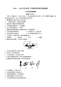 山东省菏泽市鄄城县2021-2022学年九年级下学期期中生物试题(word版含答案)