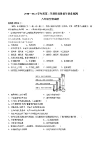 山东省菏泽市鄄城县2021-2022学年八年级下学期期中生物试题(word版含答案)