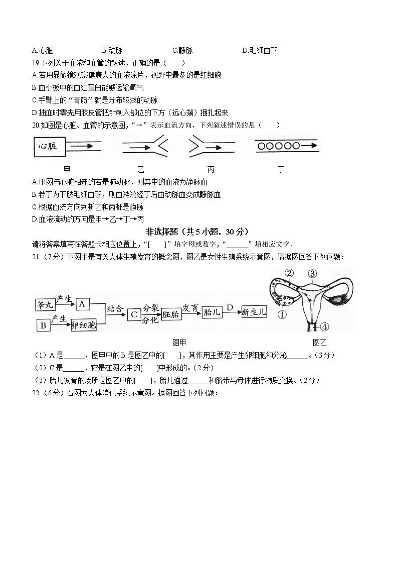 河南省洛阳市伊川县2021-2022学年七年级下学期期中生物试题(word版含答案)03