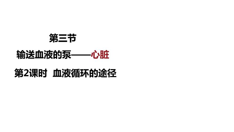 4.4.3输送血液的泵——心脏(第2课时)课件人教版七年级下册生物01