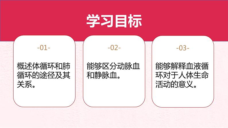 4.4.3输送血液的泵——心脏(第2课时)课件人教版七年级下册生物03