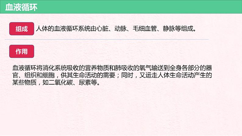 4.4.3输送血液的泵——心脏(第2课时)课件人教版七年级下册生物06