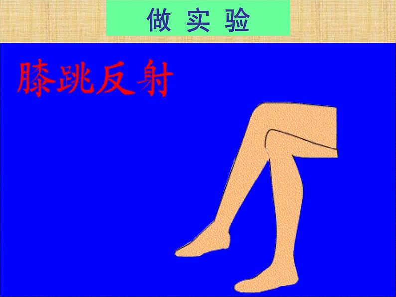 京改版生物七年级下册 8.2 神经调节的基本方式 课件第3页