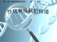 冀教版八下生物 6.2.1遗传 课件