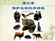 冀教版八下生物 7.3.3保护生物多样性 课件