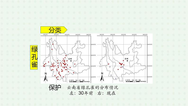 6.1.1《尝试对生物进行分类》(2)-课件06