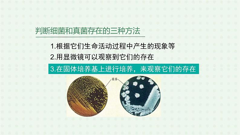 5.4.1《细菌和真菌的分布》(2)-课件04