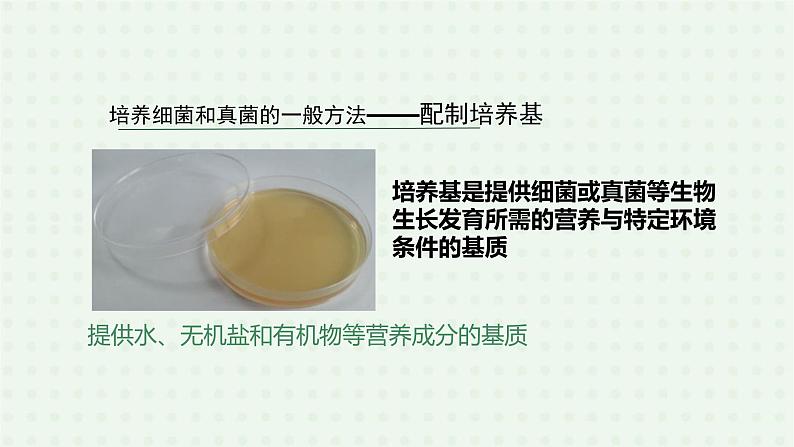 5.4.1《细菌和真菌的分布》(2)-课件05