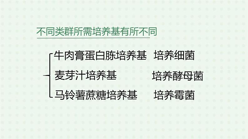 5.4.1《细菌和真菌的分布》(2)-课件06