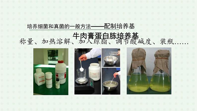 5.4.1《细菌和真菌的分布》(2)-课件07