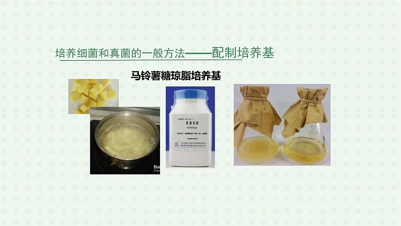 5.4.1《细菌和真菌的分布》(2)-课件08