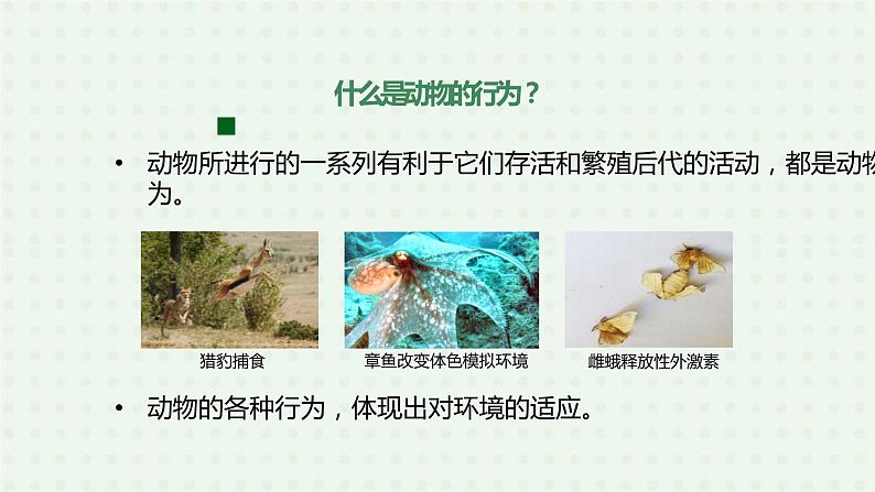 5.2.2《先天性行为和学习行为》(1)-课件04