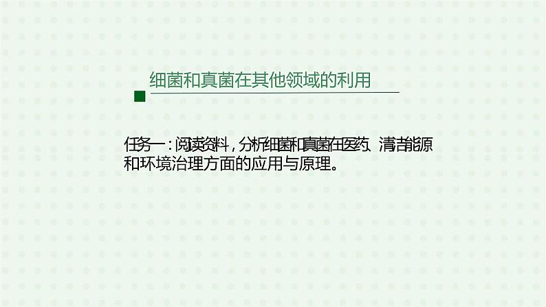 5.4.5《人类对细菌和真菌的利用》(2)-课件02