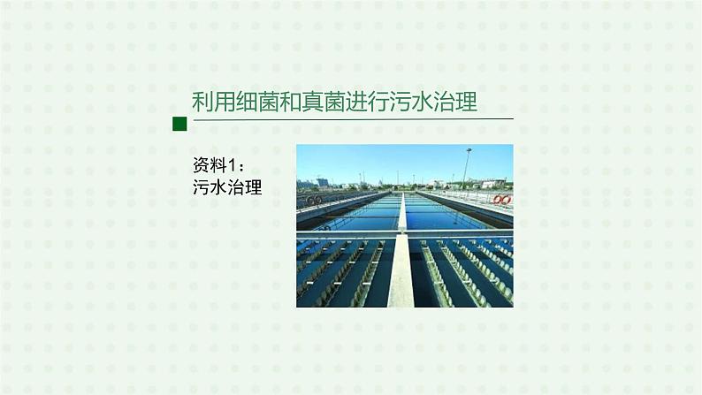 5.4.5《人类对细菌和真菌的利用》(2)-课件03