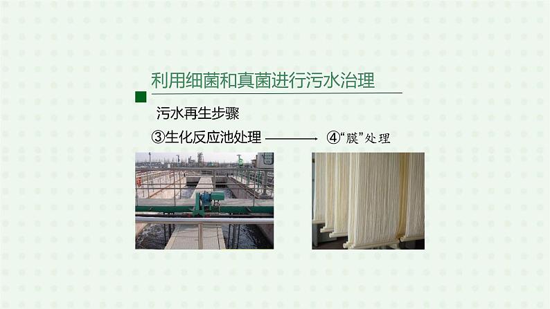 5.4.5《人类对细菌和真菌的利用》(2)-课件05
