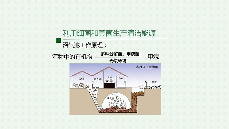 5.4.5《人类对细菌和真菌的利用》(2)-课件08