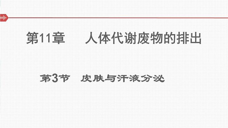 北师大版 七年级下册 第11章第3节皮肤与汗液分泌课件PPT01