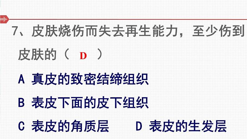 北师大版 七年级下册 第11章第3节皮肤与汗液分泌课件PPT06