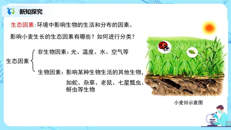 1.2.1《生物与环境的关系》第一课时课件+教学设计+同步练习05