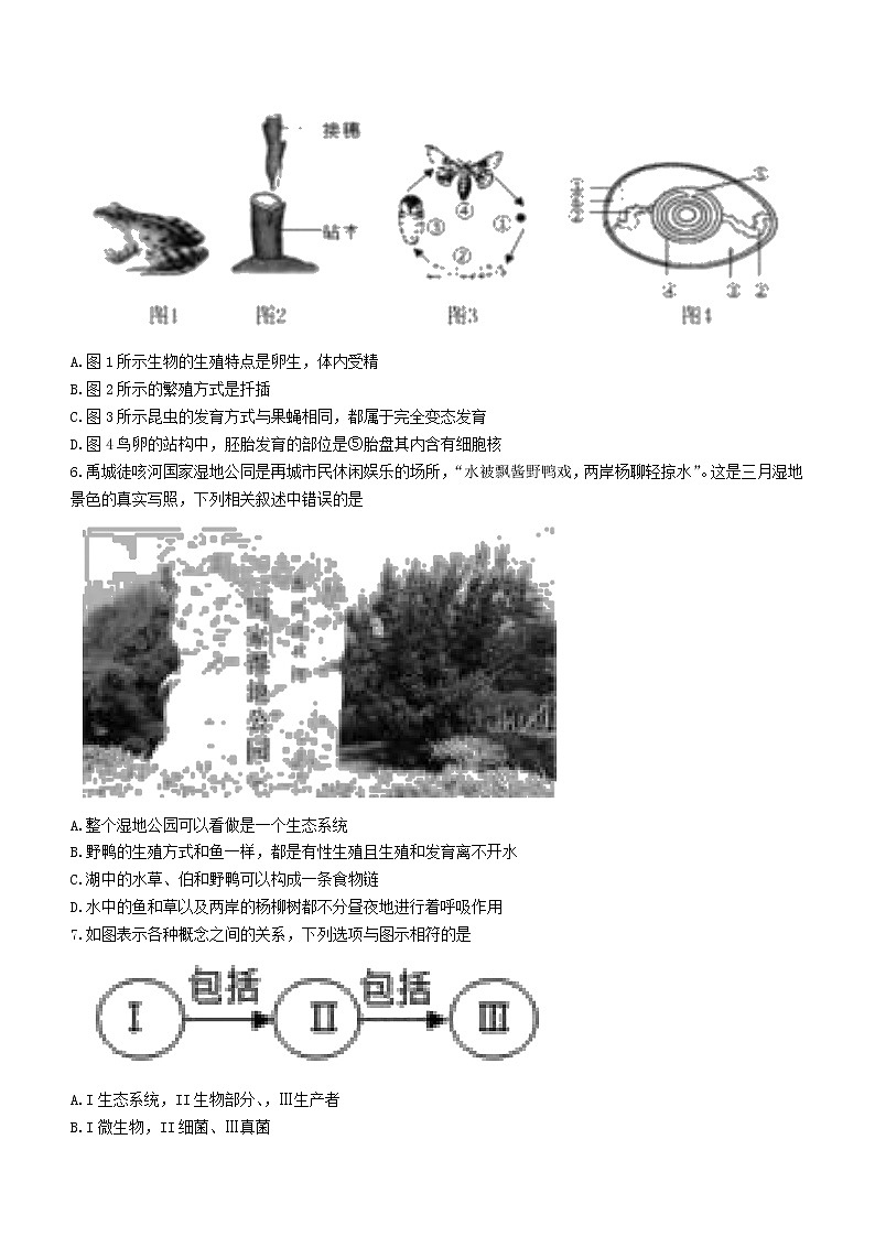 2022年山东省德州市禹城市中考一模生物试题02
