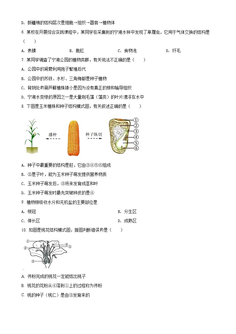 2022年云南省安宁市中考一模生物试题02