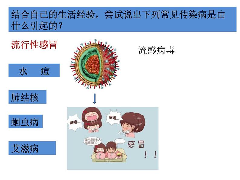 冀教版七年级下册生物 6.2 疾病与预防 课件第6页