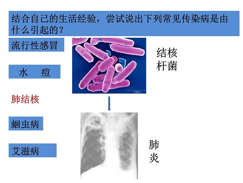 冀教版七年级下册生物 6.2 疾病与预防 课件第8页