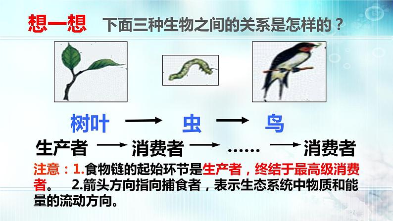 冀教版八年级下册生物 7.2.2食物链和食物网 课件第7页