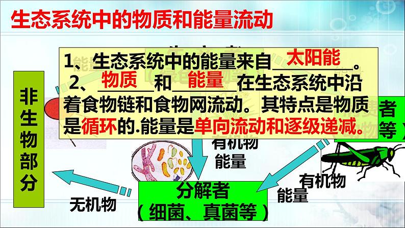 冀教版八年级下册生物 7.2.2食物链和食物网 课件第8页