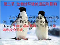 冀教版八年级下册生物  7.1.2生物对环境的适应和影响 课件