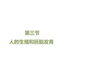 冀教版八年级下册生物  6.1.3人的生殖和胚胎发育 课件