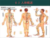 初中生物苏教版七年级下册第三节 人体概述教课内容ppt课件