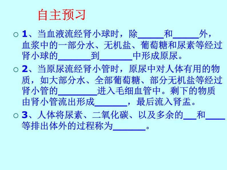 苏教版七年级下册生物 11.2人体废物的排出  课件03