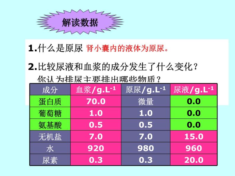 苏教版七年级下册生物 11.2人体废物的排出  课件07