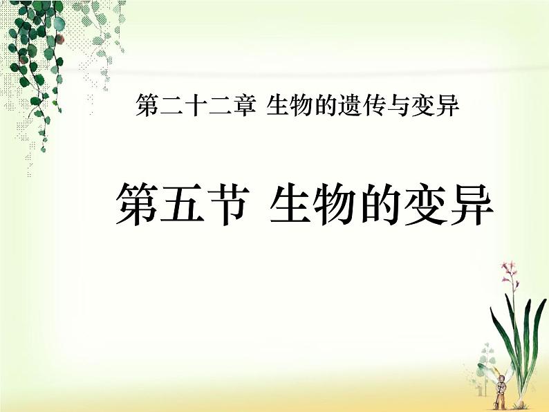 苏教版八年级下册生物 22.5生物的变异 课件第1页