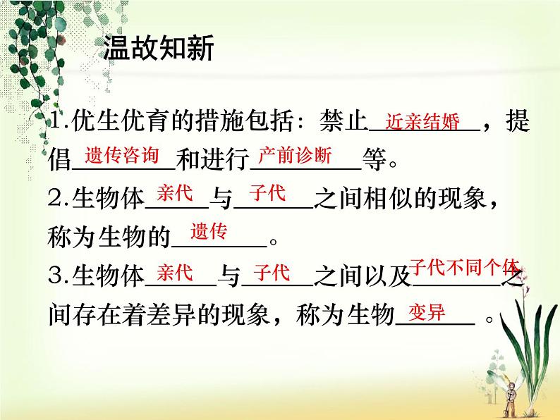 苏教版八年级下册生物 22.5生物的变异 课件第2页