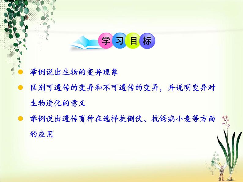 苏教版八年级下册生物 22.5生物的变异 课件第4页