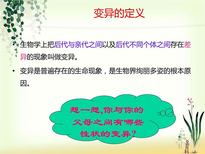 苏教版八年级下册生物 22.5生物的变异 课件第7页