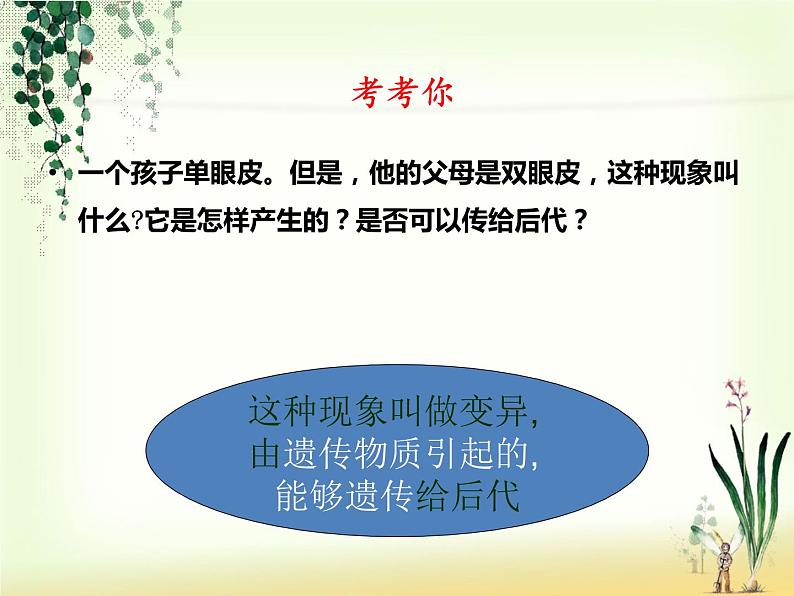 苏教版八年级下册生物 22.5生物的变异 课件第8页