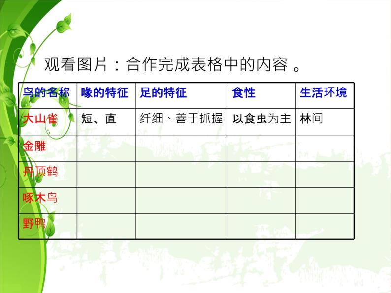 苏科版七年级下册生物 12.1鸟类 课件05