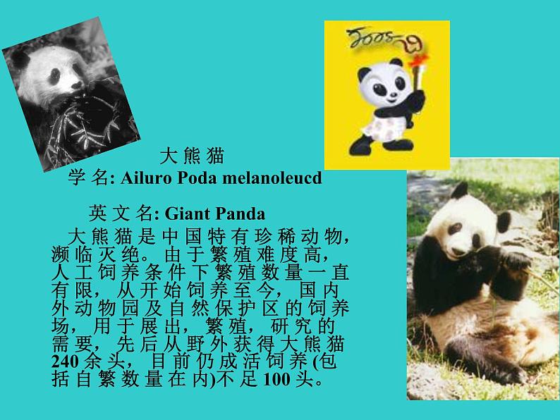 苏科版八年级下册生物 26.2保护生物多样性 课件第8页