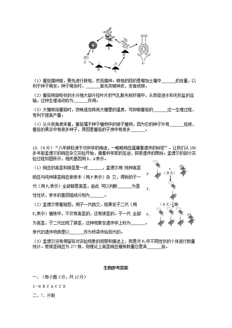 2022年甘肃省武威市高中招生及毕业会考模拟(三)综合之生物试题(word版含答案)02