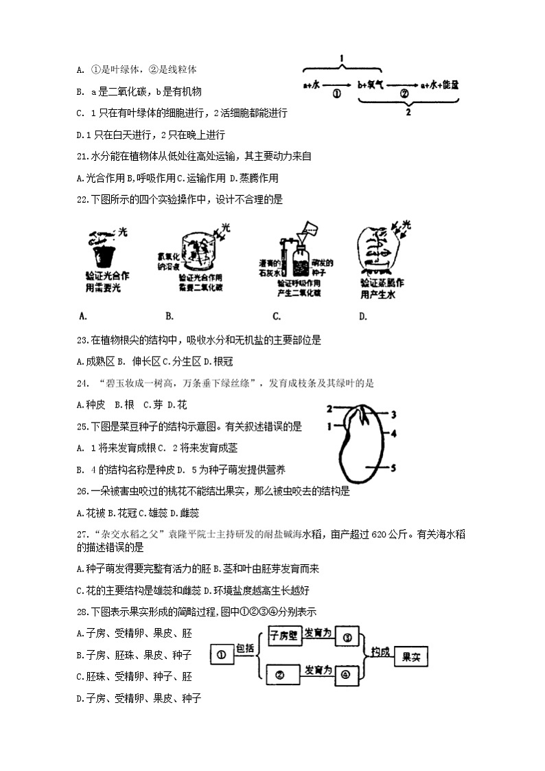 2022年广东省清远市清城区七年级上学期期末生物试题第3页