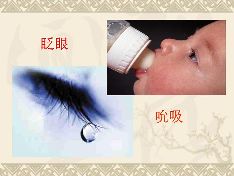 京改版生物七年级下册 8.2 神经调节的基本方式 课件第2页