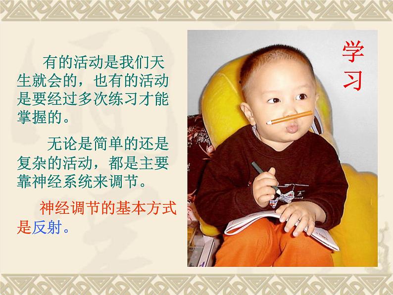 京改版生物七年级下册 8.2 神经调节的基本方式 课件第6页